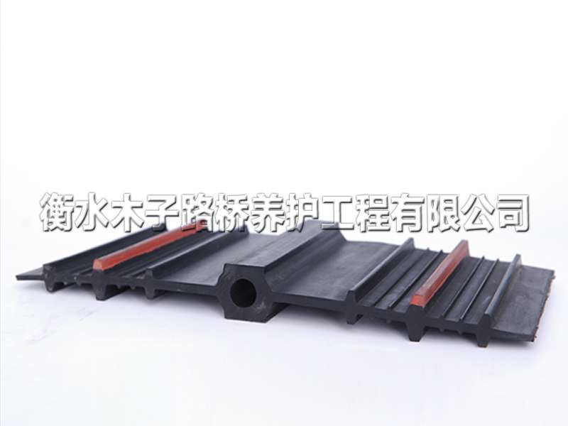 中埋式橡膠止水帶圖片3